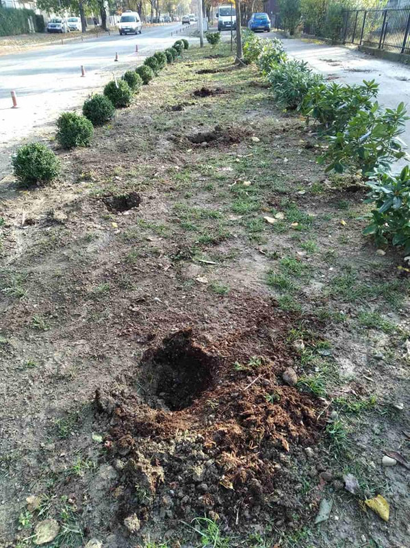 74620831_2685808014798727_669743808430211072_n (1)