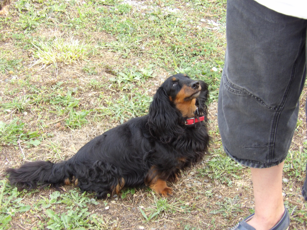 [Image: 125-0045.jpg]