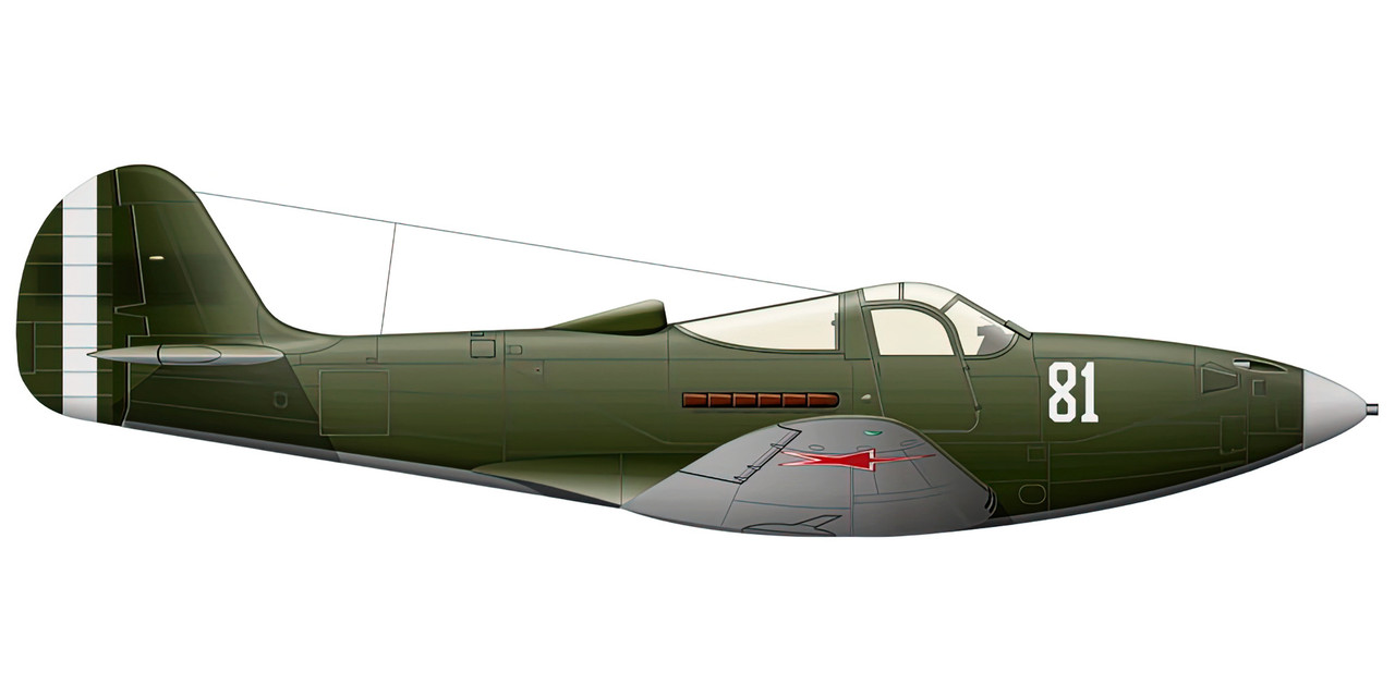 Bell-P-39N-Airacobra-101GvIAP-329IAK-White-81-Belorussian-Front-1944-0A