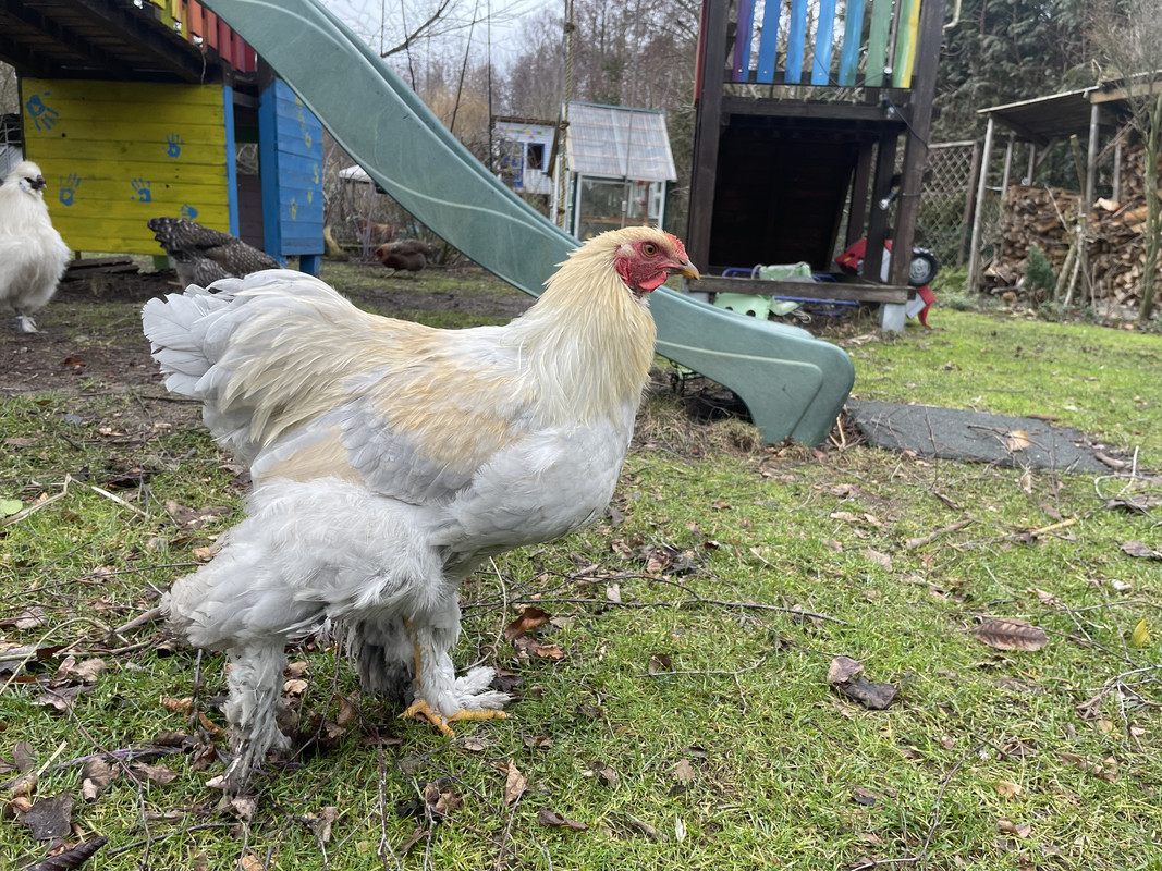 FC1EFF36-162A-4531-AD65-9032F3D81912