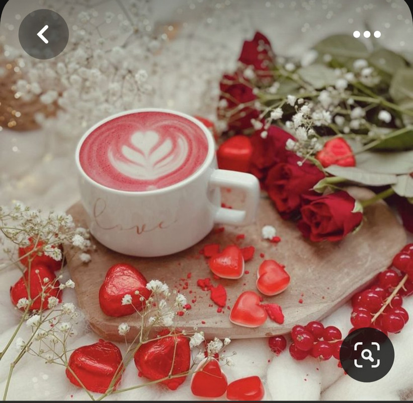 Screenshot_20230517_005535_Pinterest