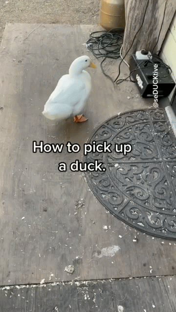 ���� ���� ������ �� ���� ������