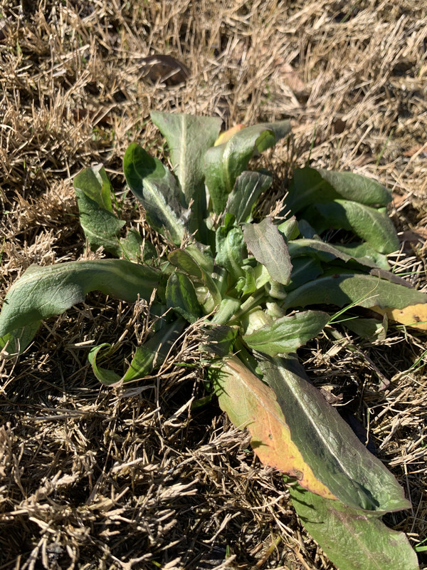 52964BD1-8116-4DB7-B123-71B11C667229