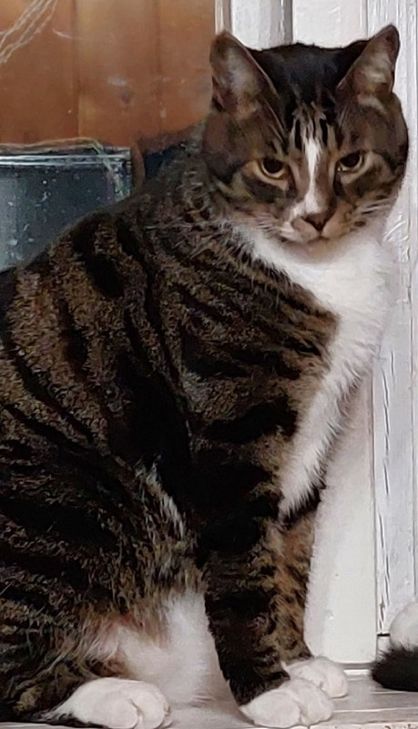 Di2XrQeSGD0 - копия