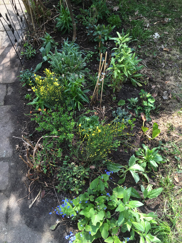 4062B091-6252-4A36-904D-694D678A0BAE