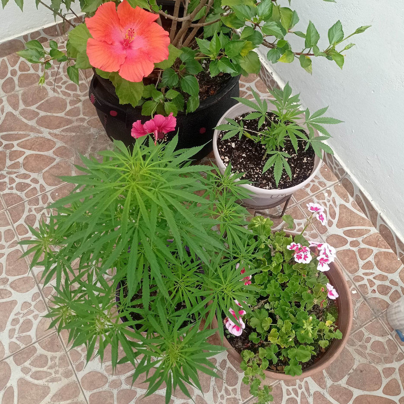 331544210_1292250067999742_448989947179417182_n