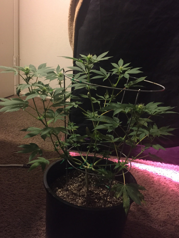 96A56A6C-9542-4486-B904-916BFEA1B40B