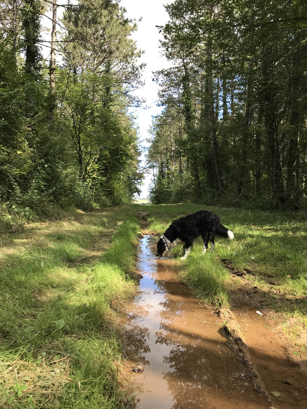 78CDC24B-8130-4D42-91C7-5F9E5B265678