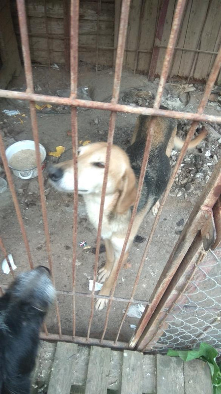 04193906-6BC1-41B2-8924-90B0BFAC270A