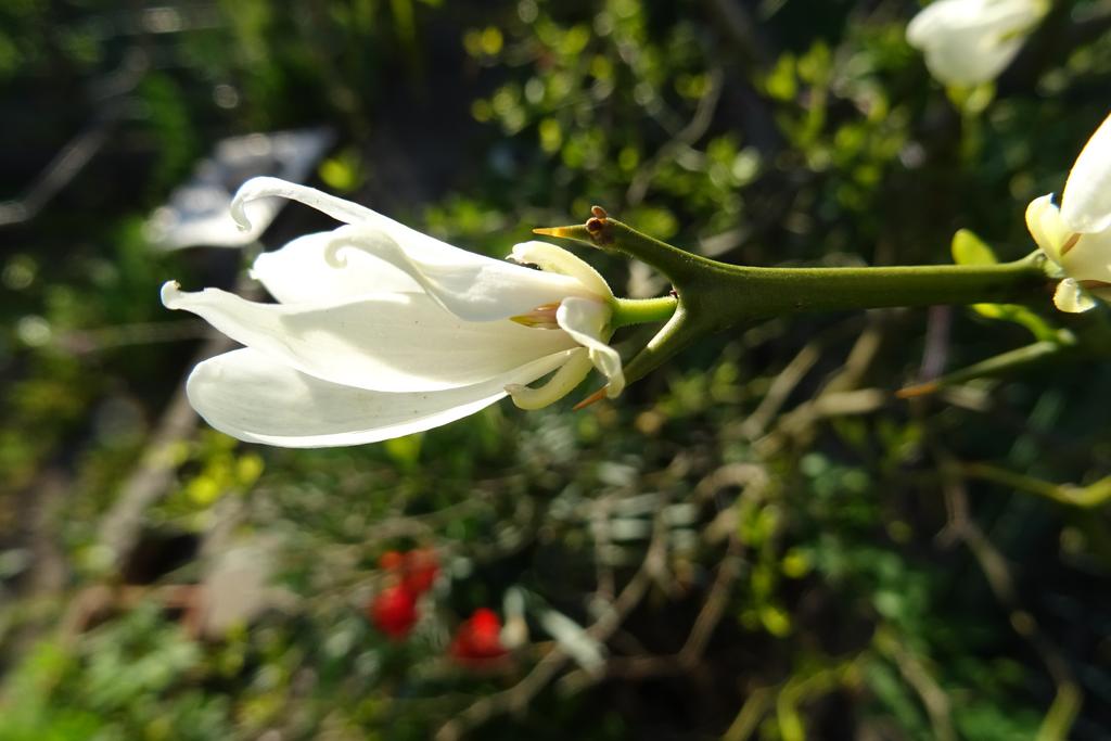 DSC00326