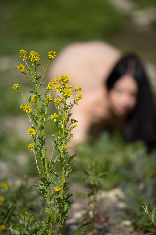 EB_In-Nature_Veronica-Snezna_high_0027