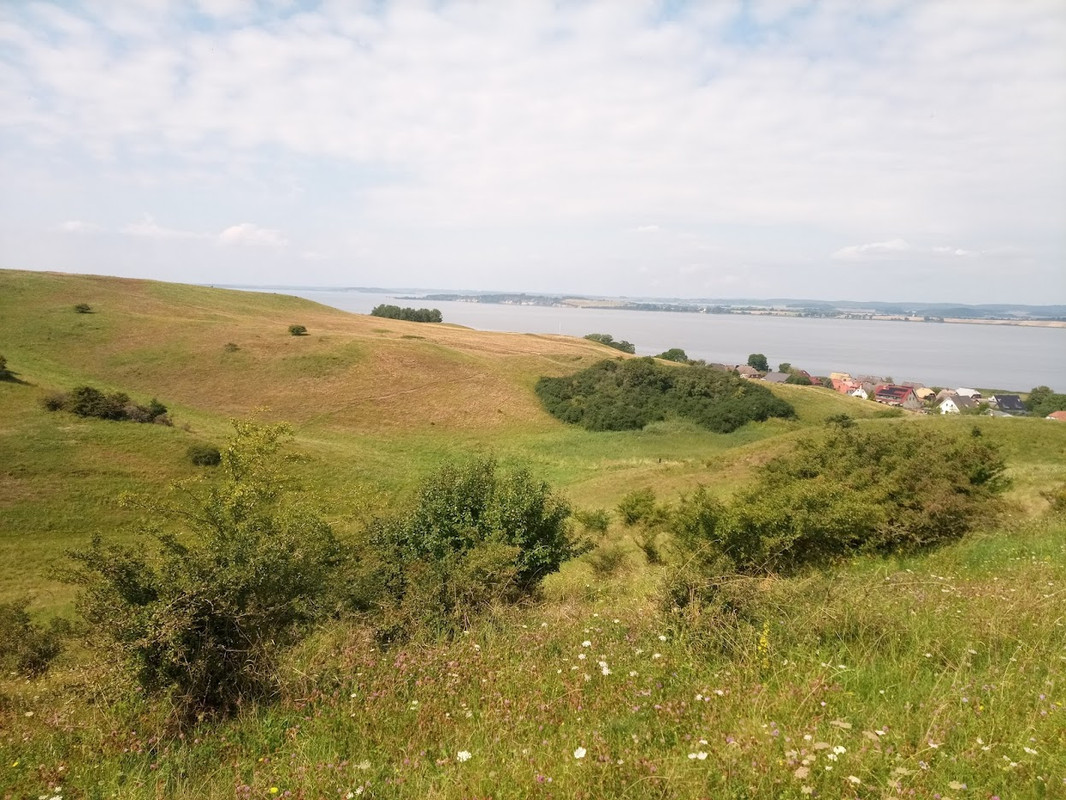 IMG_20240815_123835_071