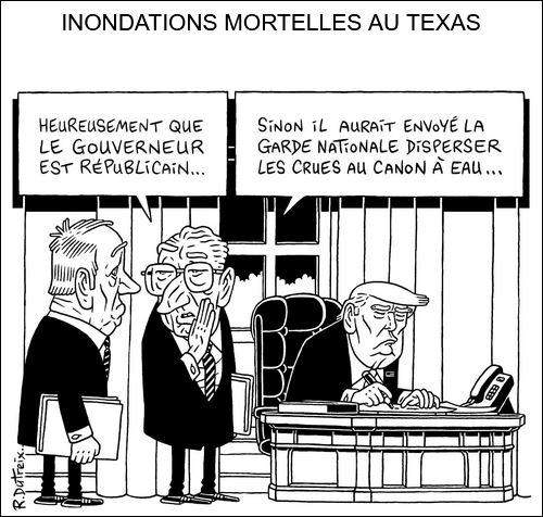 text alternatif
