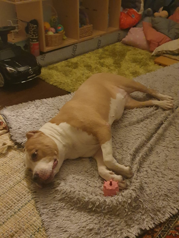 WhatsApp Image 2023-02-06 at 22.35.35 (1)