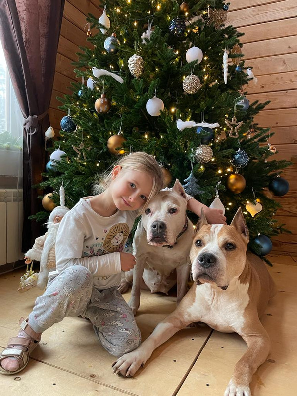 26B3ECED-4A2E-40A8-BA73-2F46A24E452A