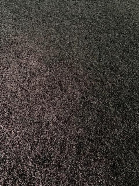 Bermuda - Fungus Issue? | Lawn Care Forum
