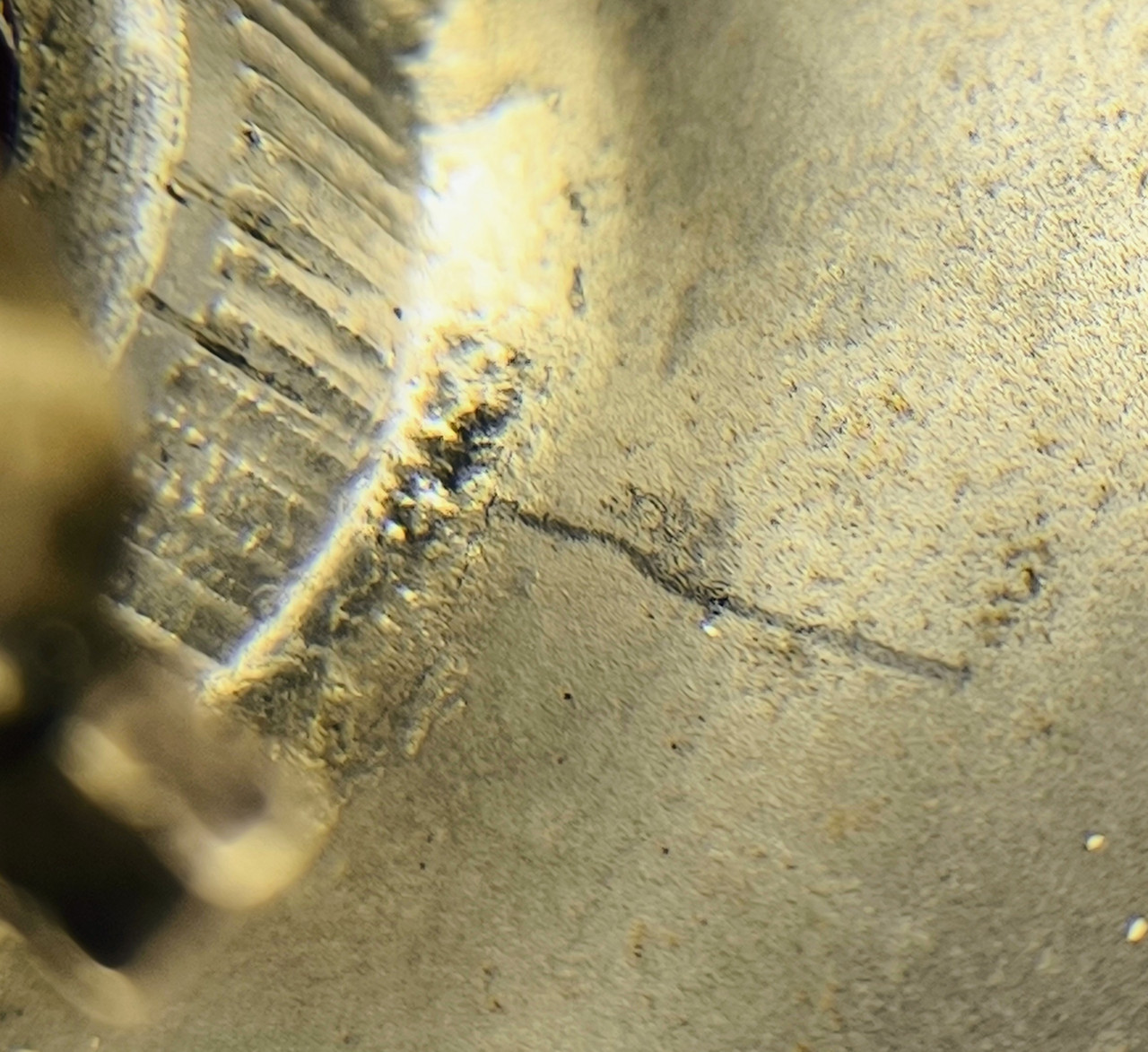 IMG 20260313 202344 2