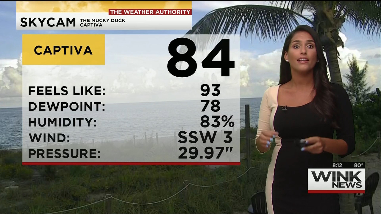 08.16 - 11.00.00 - WINK News @ 6 00AM Sunday..ts_snapshot_00.13.42.163