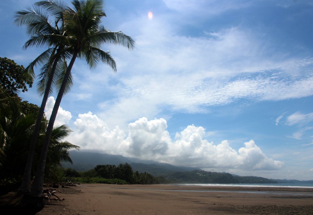 DIA 15: PARQUE MARINO BALLENA Y CONCLUSIONES - DE TORTUGAS Y PEREZOSOS. COSTA RICA 2019 (3)