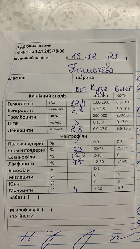 54C7545C-AEBF-44DD-82E5-A4925E4B4D5C