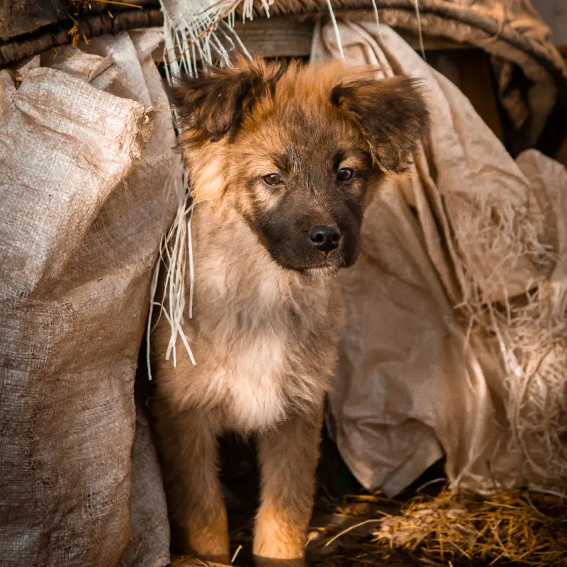 IMG_20230102_164432_289