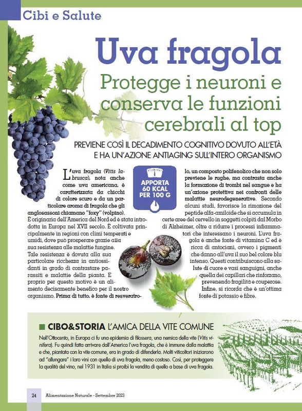 Alim Nat Set 2023 (3)