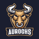 second team logo