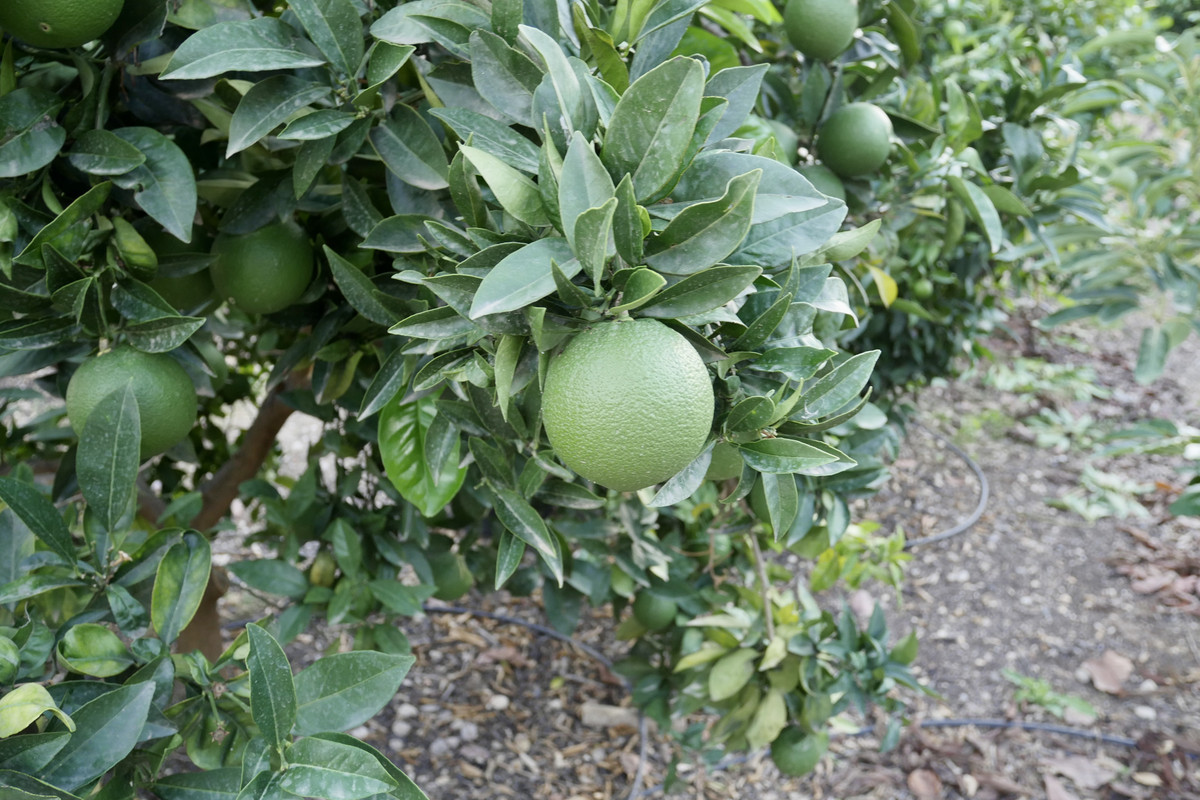 37CE8512-C154-4383-9707-8B9389F12D8A