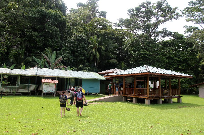 DIA 13: EXCURSIÓN DE UN DÍA A CORCOVADO - DE TORTUGAS Y PEREZOSOS. COSTA RICA 2019 (24)