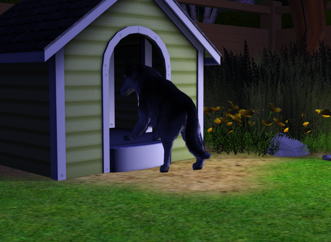 Sims2-EP9-RPC-2023-09-17-14-50-20-51