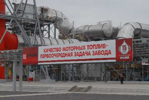 7-3 ВНПЗ лук