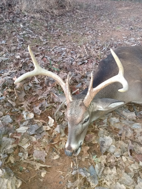 IMG_20220205_172055786