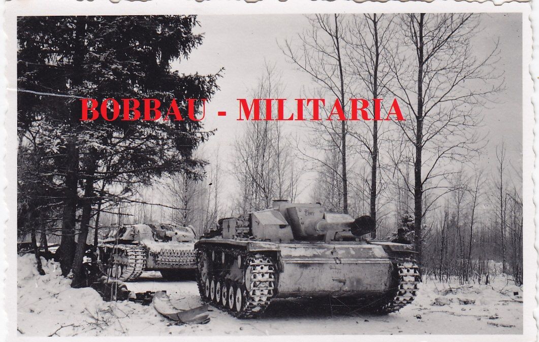 Sturmgeschütz STUG III Langrohr mit Name TIGER E