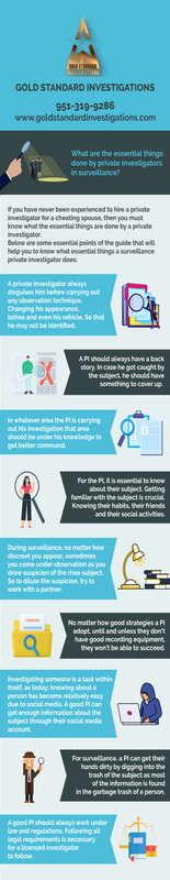 What are the essential things done by private investigators in surveillance?