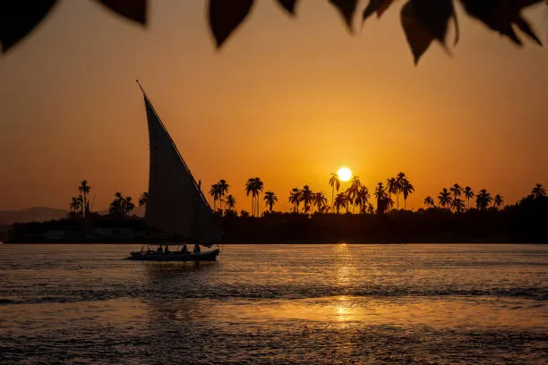 Felluca Sailboat On Nile