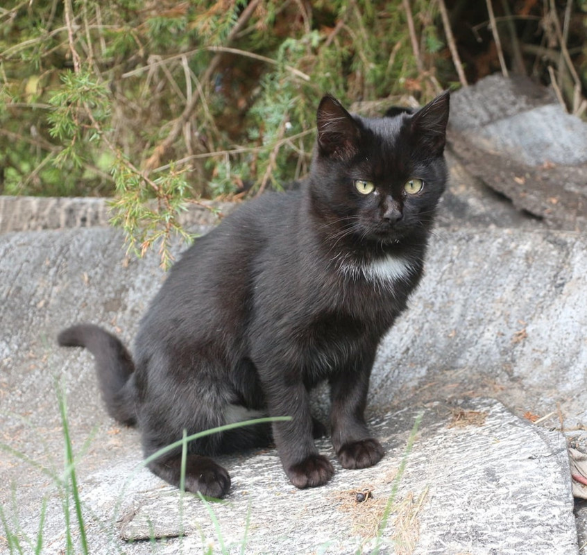 imgonline-com-ua-Resize-lBFm3l4HJRAl