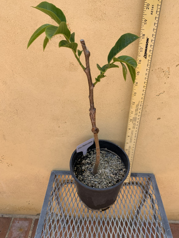 F568F83D-E0DF-4481-B741-D5B093938597