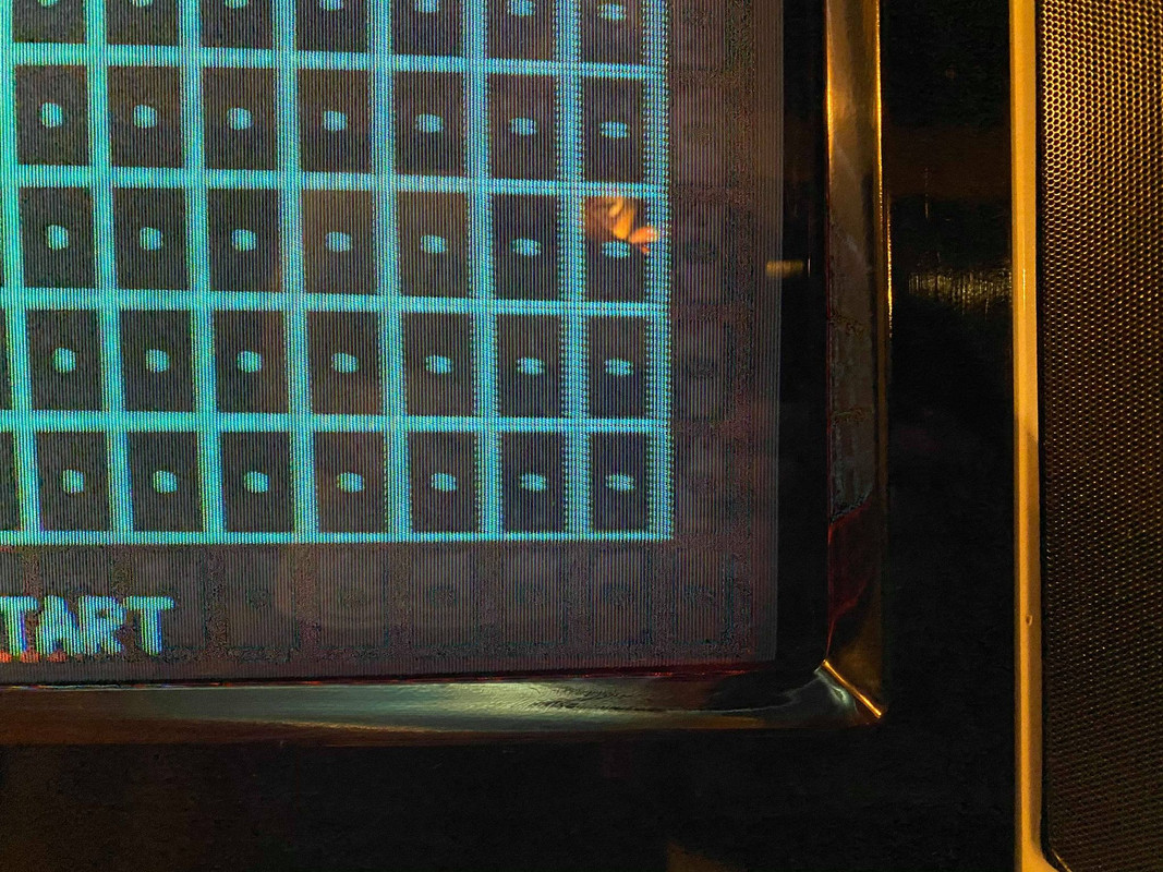 129206632_138494661071254_4687147631175358786_n