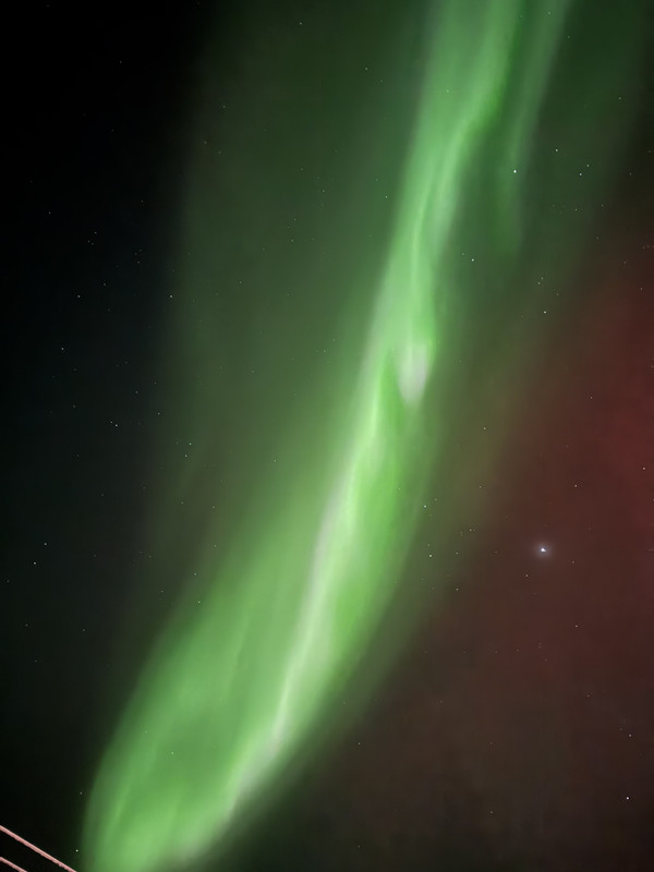 [Immagine: IMG-7645.jpg]