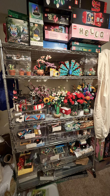 637453294 10235391543421741 3760821396219346783 n