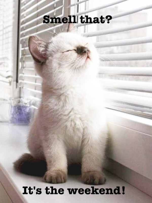 306c26abce7a2ef15a79ac4e7751fe47