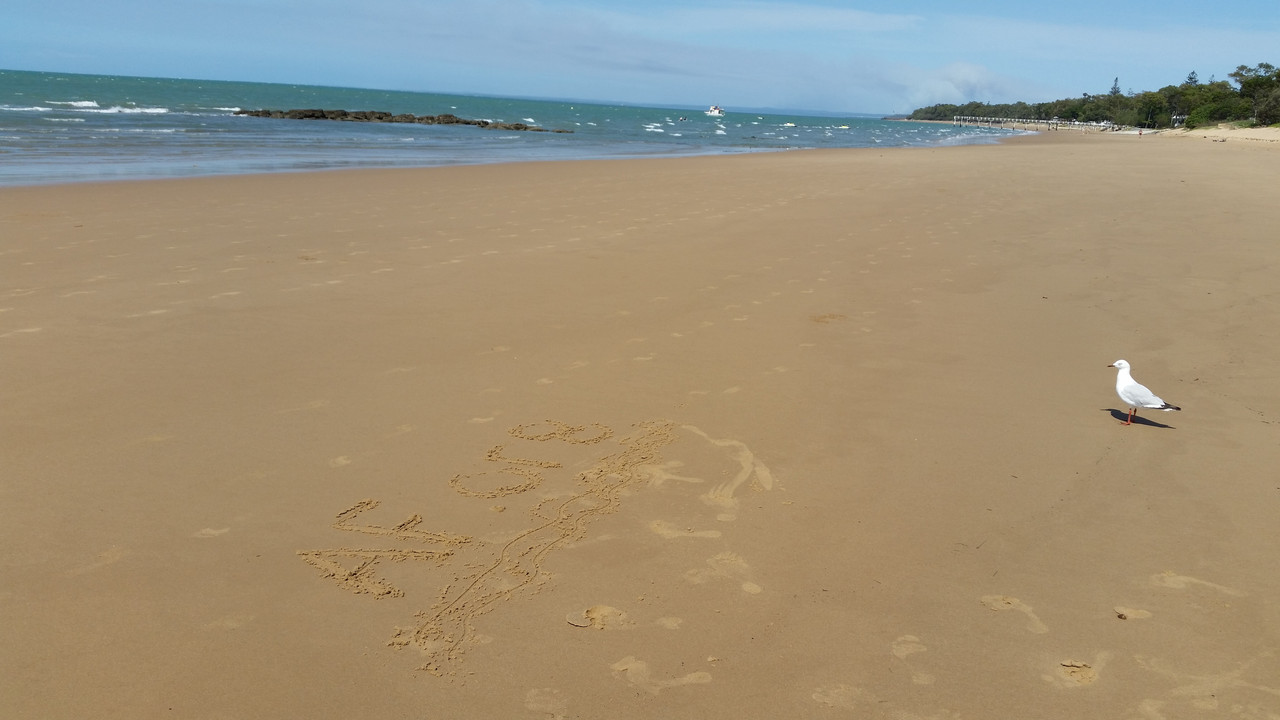 [Image: 20201117-140429.jpg]