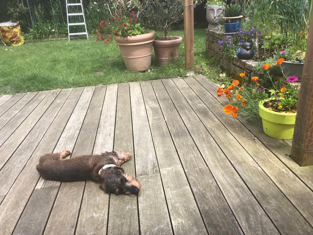 [Image: IMG-20240522-WA0023.jpg]