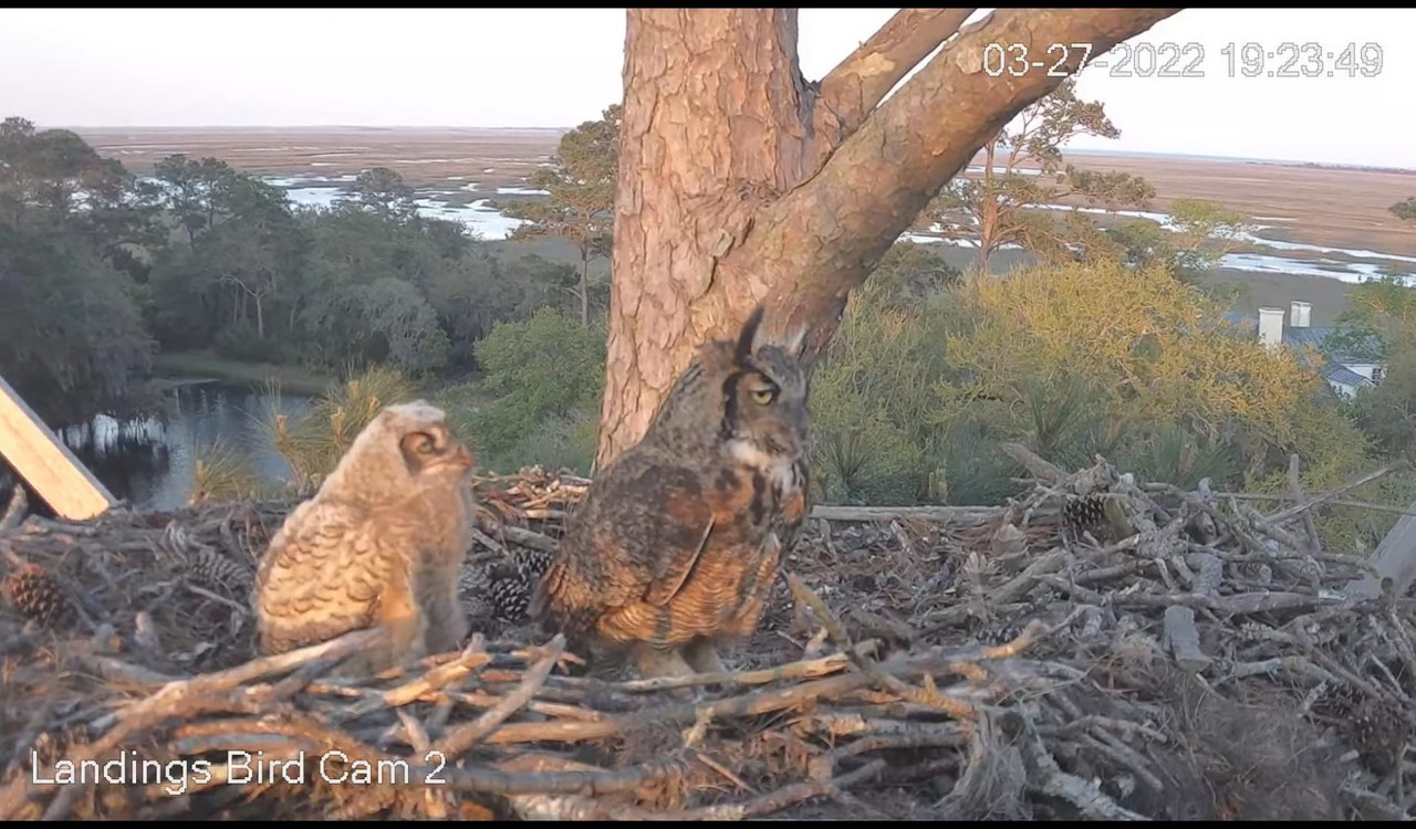 WhatsApp Image 2022-03-29 at 10.18.57 PM (4)