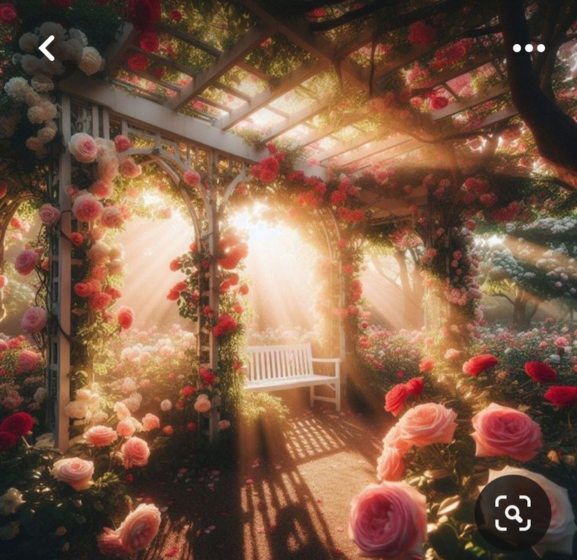 Screenshot_20240424_223330_Pinterest