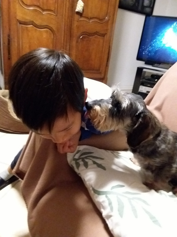 [Image: 20201021-215406-copy-1200x1600.jpg]