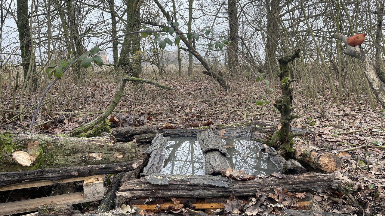 8325087D-31CA-40BD-A98E-25A9F8ADDFAE