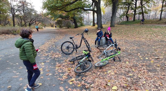 Vista icónica en Dumbo, bicis Central Park, Museo Historia y Little Italy - Nueva York y Cataratas del Niágara 2023 (20)