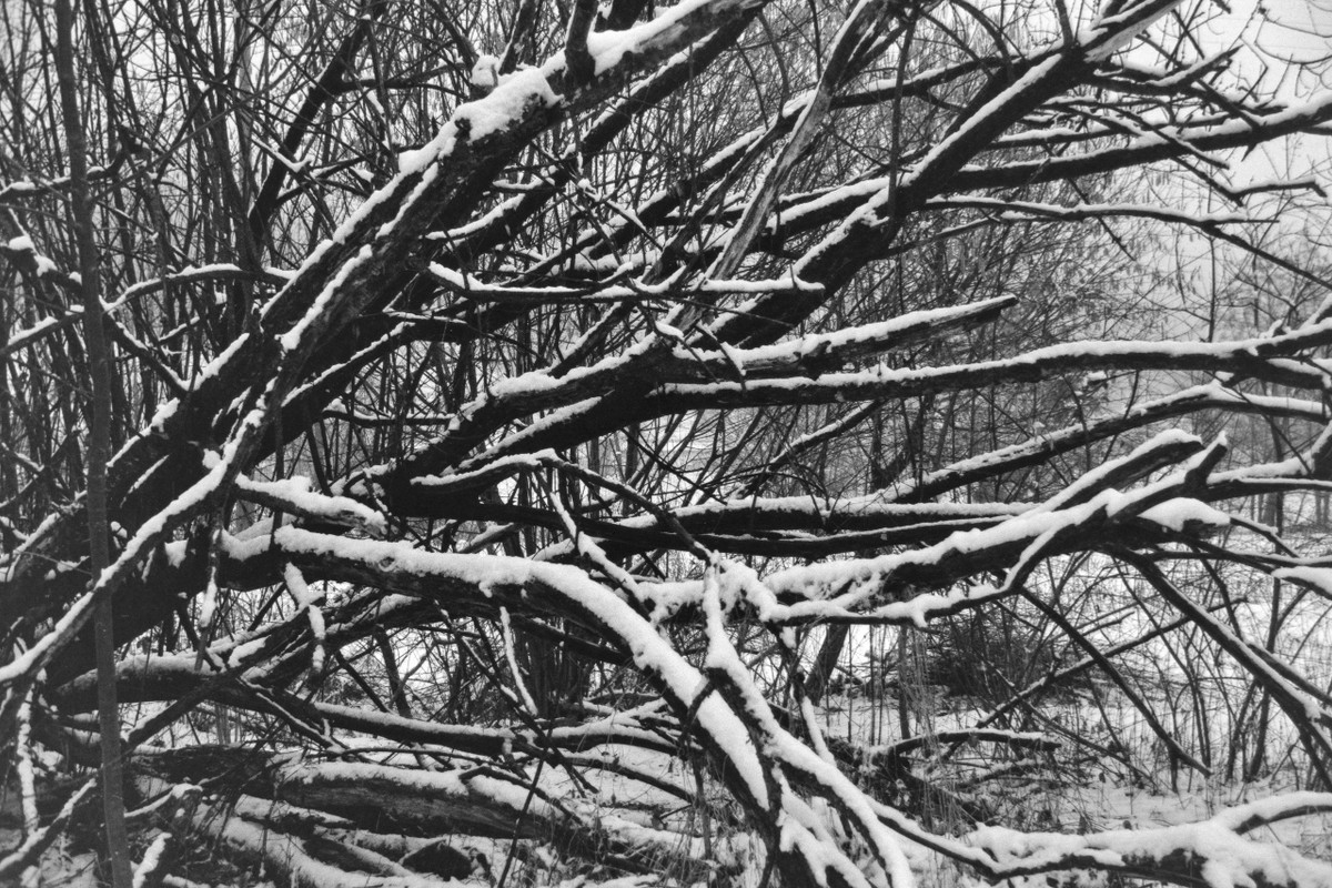 Rollei 35 S_14 16 feb2022_14 (1280x853)