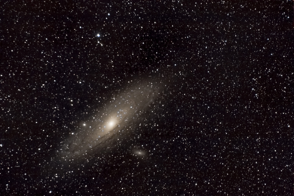 m31